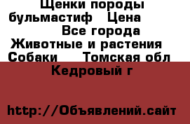 Щенки породы бульмастиф › Цена ­ 25 000 - Все города Животные и растения » Собаки   . Томская обл.,Кедровый г.